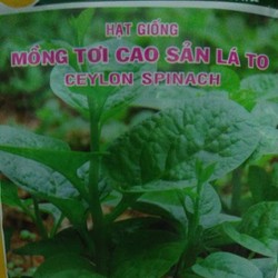 Hạt giống rau mồng tơi cao sản lá to - 50gr- 1200 hạt - Ceylon spinachi