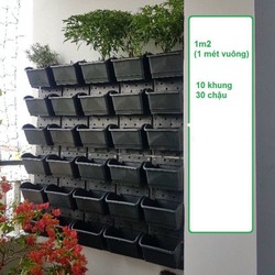 Khung chậu nhựa trồng cây trồng rau trồng hoa trên tường - Màu Đen (10 khung + 30 chậu) 1m2 Vườn tường HOLO - LT 145