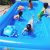 Bể bơi phao, Hồ bơi cho trẻ em bé ️Đủ Cỡ️Bể bơi giá tốt ,Bể bơi phao cho bé