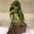 Cây đá phong thủy để bàn tự nhiên chất ngọc serpentine màu xanh đậm và bóng nặng 3 kg cho người mệnh Mộc và Hỏa