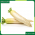 [Chỉ Giao HCM] – Củ cải trắng (300gr/gói) – Chuẩn An Toàn VietGap