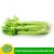[Chỉ Giao HCM] – Cần tây hữu cơ Organicfood – 500g