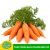 [Chỉ Giao HCM] – Cà rốt hữu cơ Univers Farm – 300gr