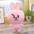 Gấu bông ,gấu EXO BTS Joongkook BT21- BTS (hồng) size lớn 45cm