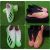 Giày đá bóng – Giày bóng đá nam X19.1 – Giày đá banh – Giá rẻ nhưng bền, may toàn bộ đế size 38 – 44