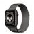 ồng Hồ Thông Minh Apple Watch Series 6 LTE GPS + Cellular Stainless Steel Case With Milanese Loop (Viền Thép & Dây Thép)